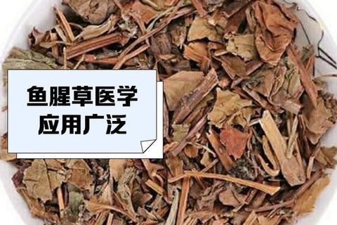 鱼腥草消炎功效解析：天然草药是否具备消炎药特性？