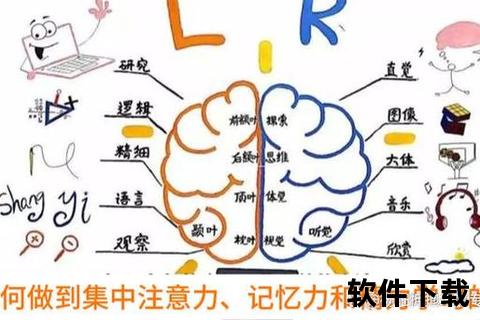 脑神经营养专家推荐：科学配方助力记忆力与专注力提升