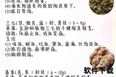 月经量大多效止血药解析：快速见效与经血过多应对指南