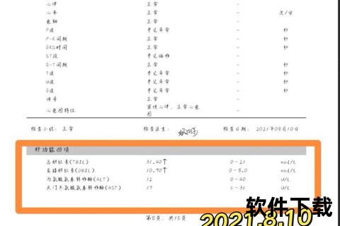 总胆红素偏高解析：潜在健康问题与临床意义探讨