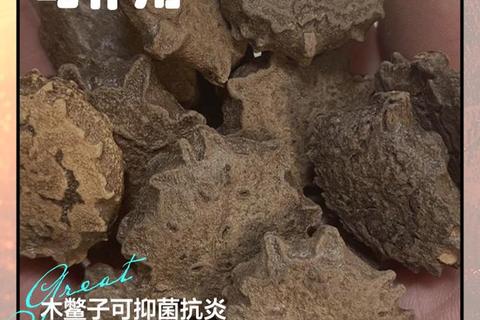 木鳖子功效与作用解析-药用价值及临床应用探讨