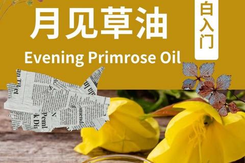 月见草精油功效解析：天然护肤与健康调节的奥秘