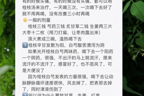 桂枝功效解析：温经散寒_通脉活血及药用价值探秘