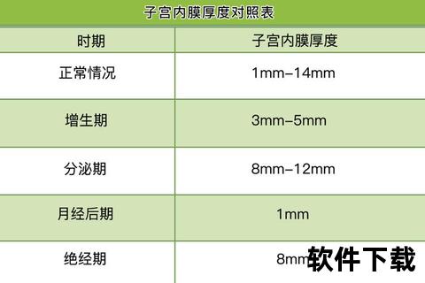月经第二天内膜厚度标准_正常范围与异常解析