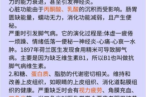 复合B族维生素_科学补充与健康守护的关键作用解析