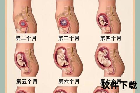 小孩子会怀孕吗_解析儿童生理发育与怀孕可能性