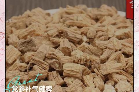 党参功效与作用解析-补气养血及增强免疫力的中草药