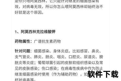 克拉维酸阿莫西林抗菌机制与临床应用研究进展