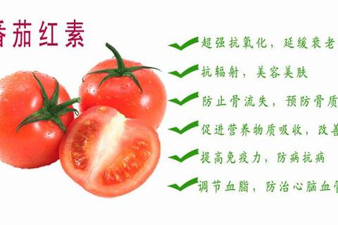 西红柿素：抗氧化防癌与增强免疫力的核心功效解析