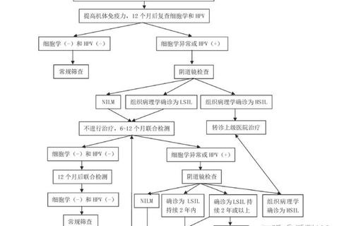 妇科检查阴性结果解析-临床意义与健康管理要点