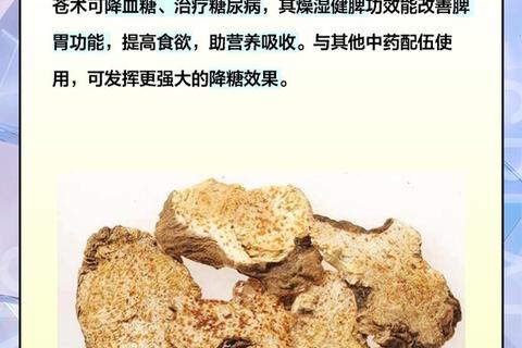 苍术的功效与作用解析_健脾祛湿-抗炎抗菌及中医临床应用
