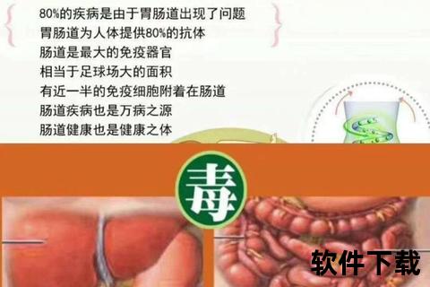 润肠通便_调节肠道功能-解析润肠丸核心功效与适用症状