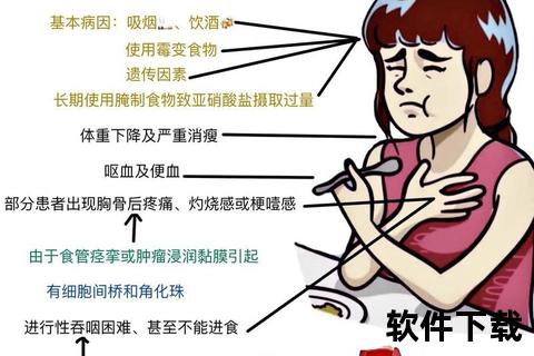 食道癌晚期生存期解析：关键影响因素与预后评估