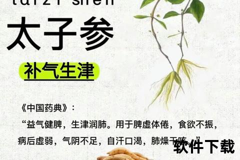 太子参副作用与禁忌解析:过敏_上火_凝血风险