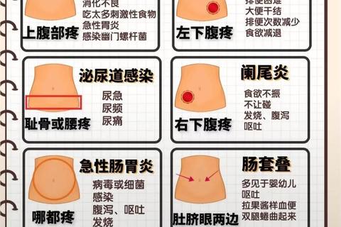儿童腹痛常见诱因解析：病因识别与家庭护理要点