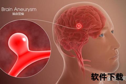 血管瘤危险位置解析：脑干-心脏-肝脏风险最高