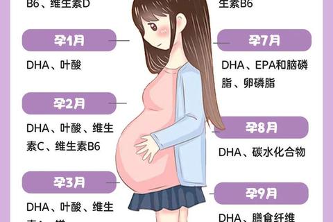 孕妇维生素B6补充指南：安全剂量与胎儿健康影响