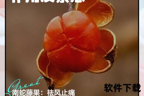 蛇根草：活血调经与祛痰止咳的多重功效解析