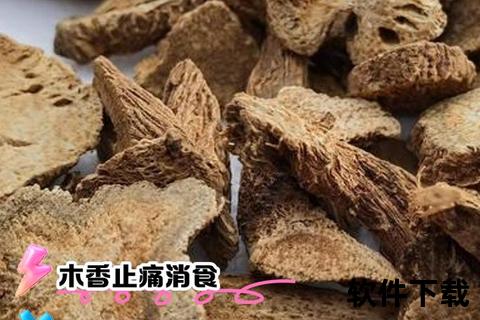 木香功效解析：行气止痛_健脾消食与抗菌消炎作用探秘