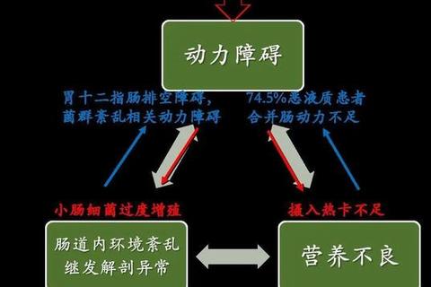 月经不调与肥胖：互为因果的恶性循环解析