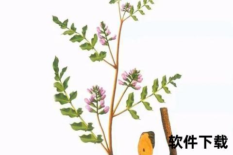 甘草功效与作用全解析:传统药用与现代健康价值探秘