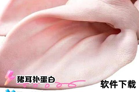 猪耳朵的营养价值与健康功效-全面解析其作用及益处