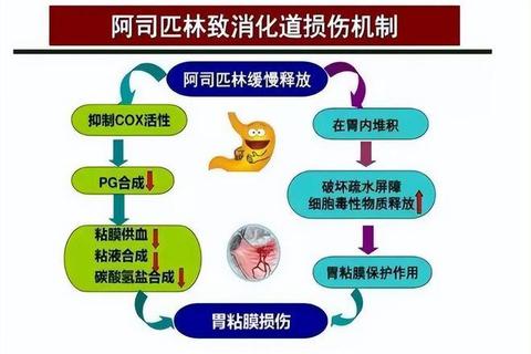 阿司匹林消炎效果探究：作用机制与适用症状分析