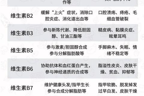 维生素B族全面解析：作用、食物来源与科学补充指南