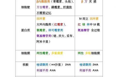 复方头孢克洛胶囊：抗菌机制_临床应用与疗效研究分析