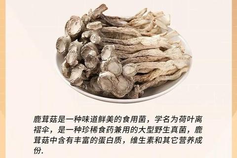 鹿茸帽作用解析：御寒保健与中医养生功效探秘