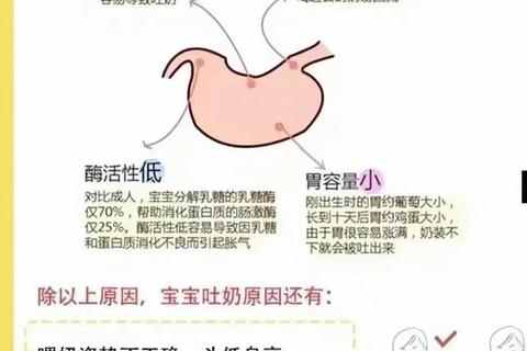 新生儿吐奶原因解析：常见诱因与科学应对方法