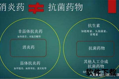 阿莫西林_抗菌机制解析与临床合理用药策略探讨