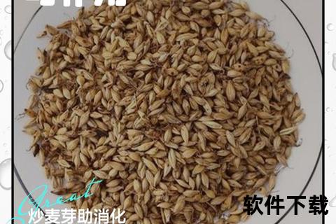 炒麦芽功效与作用详解：助消化_健脾胃及健康益处
