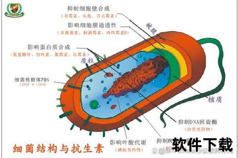 消炎类药物作用机制解析与临床治疗新进展