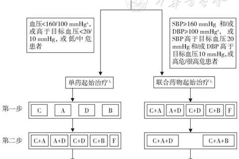 复方降压胶囊：天然成分与长效控压的协同作用机制解析