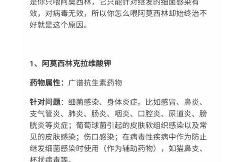 阿莫西林忌口清单_食物与药物禁忌全解析