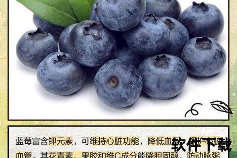 兰莓的多元功效解析：健康益处与营养作用探究