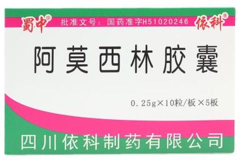 依科阿莫西林胶囊：细菌感染适应症与合理用药指南