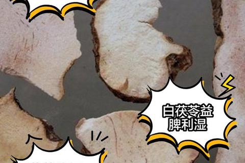 云苓功效与作用全解析：健脾祛湿_安神助眠及免疫调节