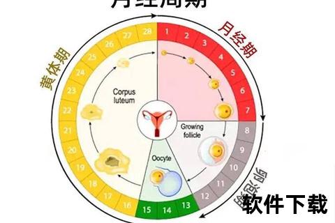 月经持续十多天未净：或是内分泌失调与子宫疾病警示