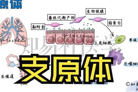 妇科球菌感染原因解析：致病机制与预防措施探讨