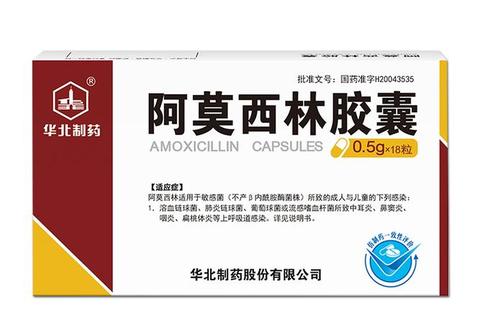 珠海联邦阿莫西林胶囊：广谱抗菌首选-适用6大感染病症