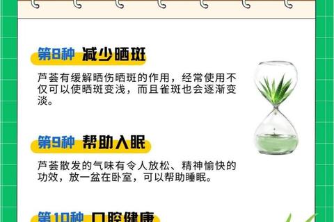 芦荟功效与作用解析：天然植物的健康益处与妙用指南