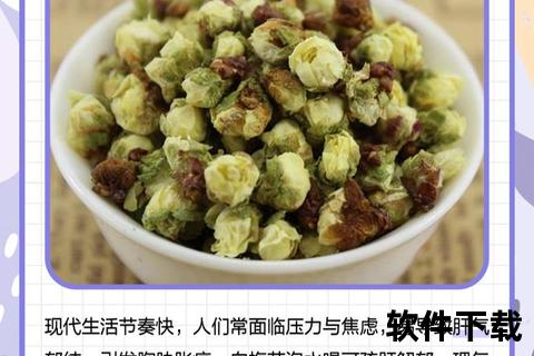 白梅花：疏肝解郁与美容养颜的养生瑰宝