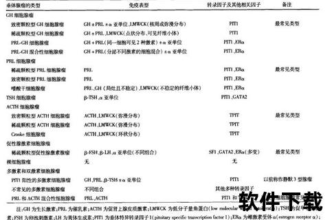 垂体功能检查项目解析：主要检测内容与临床意义