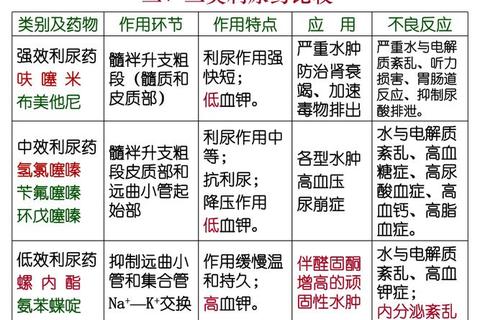 泌尿系统感染消炎药选择指南：适用药物与禁忌提示