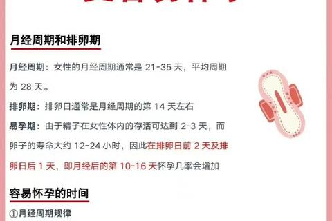 月经结束后易孕期解析:抓住关键几天提升受孕几率