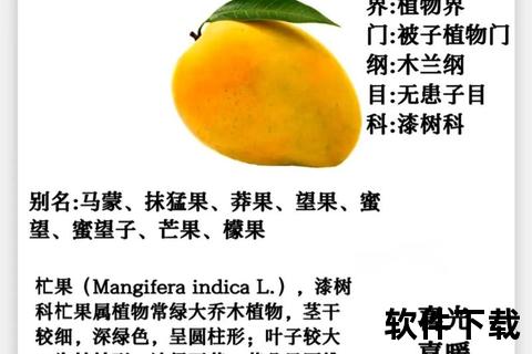 青芒果的十大健康功效：养颜护肤_降血压与润肠通便解析