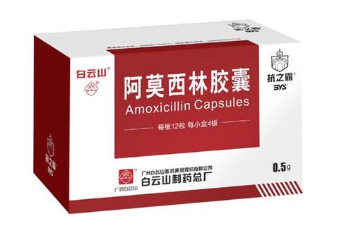 阿莫西林品牌推荐-五大知名药厂对比与选购指南