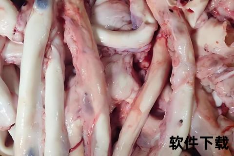 黄喉是什么_揭秘猪牛大血管的火锅食材真相